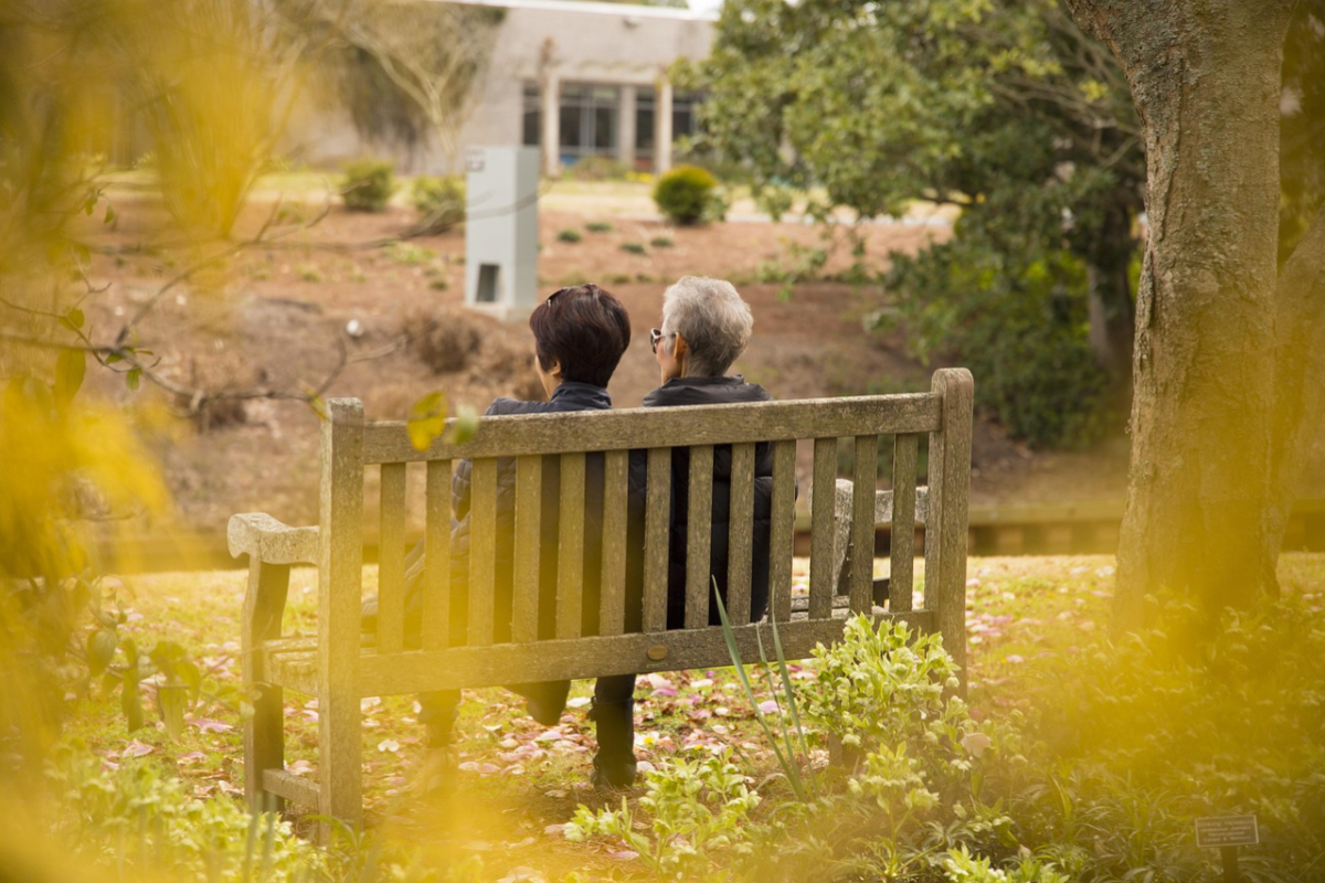 elderly couple bench